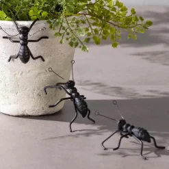 Ant Pot/ Wall Climbers, Set of 3