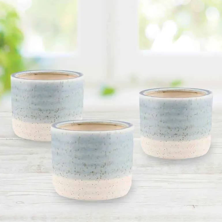 Blue Isle Cachepot Planter, Set of 3