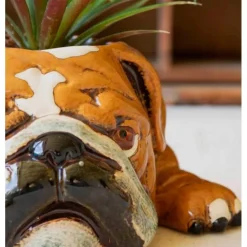 Ceramic Bulldog Planter