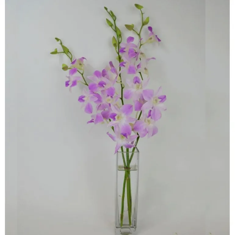 Fresh Cut Small Orchid Bunch in Glass Vase - Pink