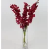 Fresh Cut Small Orchid Bunch in Glass Vase - Red