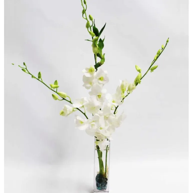 Fresh Cut Small Orchid Bunch in Glass Vase - White