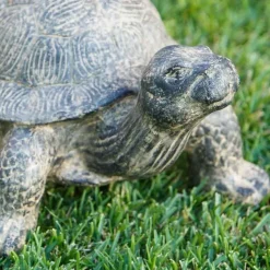Garden Turtle Statue