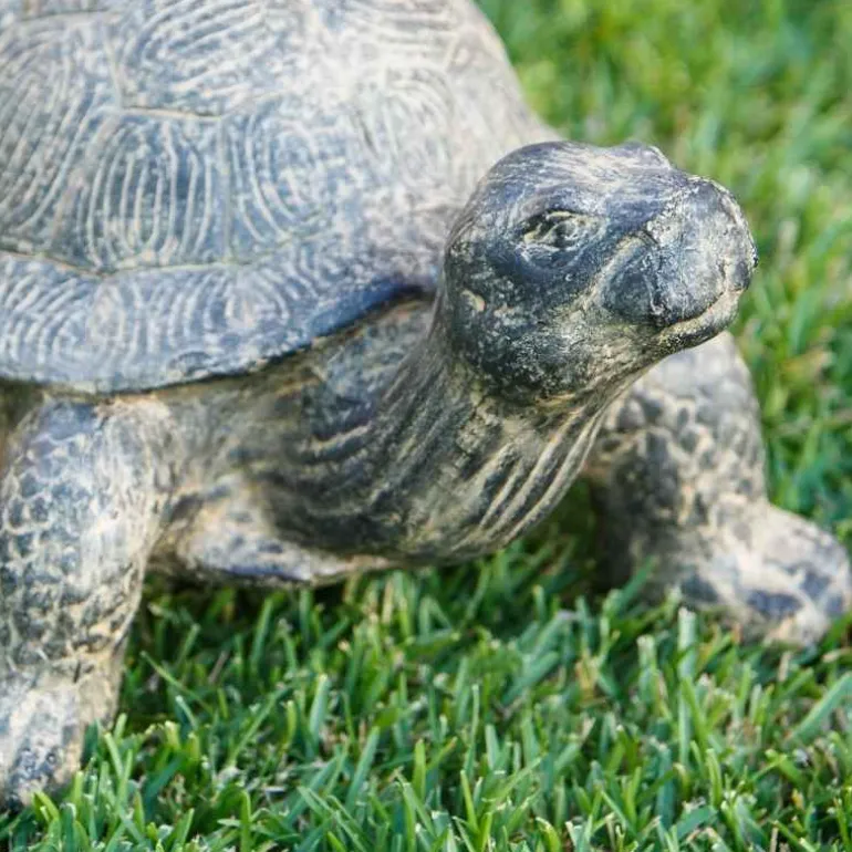 Garden Turtle Statue