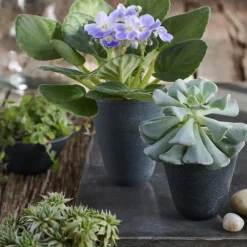 Hasten™ Volcanic Stone Pot Tall