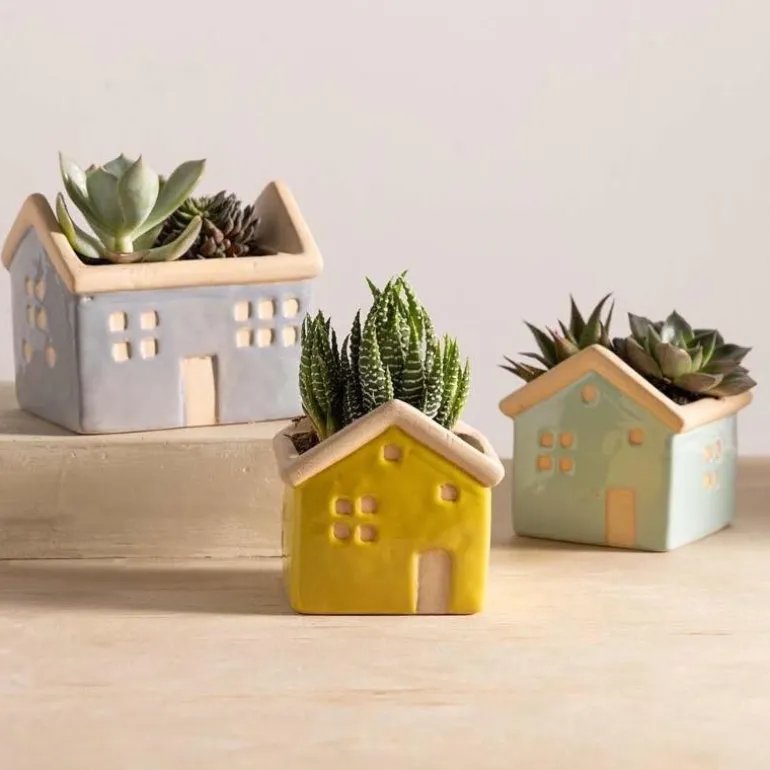 House Planters with Live Succulents, Set of 3