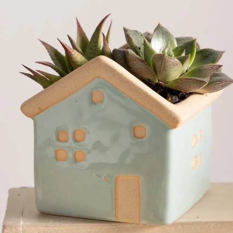 House Planters with Live Succulents, Set of 3