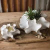 Organic Ceramic Planters Set of 2