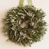 Organic Tallow Berry & Olive Leaf Wreath without Hanger