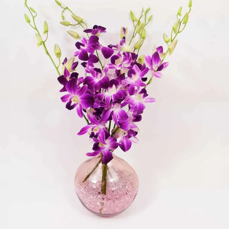 Pink 7" Balloon Vase with 5 Stems of Fresh Cut Orchids - Purple