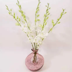 Pink 7" Balloon Vase with 5 Stems of Fresh Cut Orchids - White