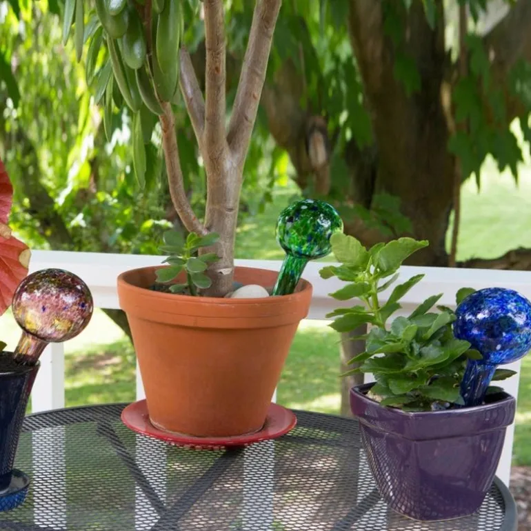 Plant Quencher Glass Watering Globes, Set of 3