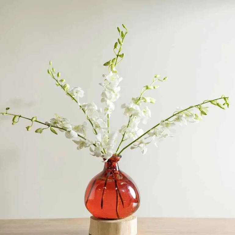 Red 7" Balloon Vase with 5 Stems of Fresh Cut Orchids - White