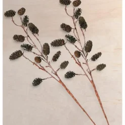 Seaside Alder Pinecone Stems, Set of 2