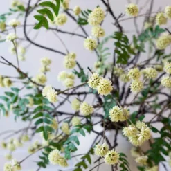 Set of 2 Faux Yellow Wildflowers