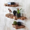 Takara Live-Edge Floating Shelf, Medium