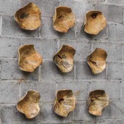 Tamarind Wood Wall Decor, Set of 3