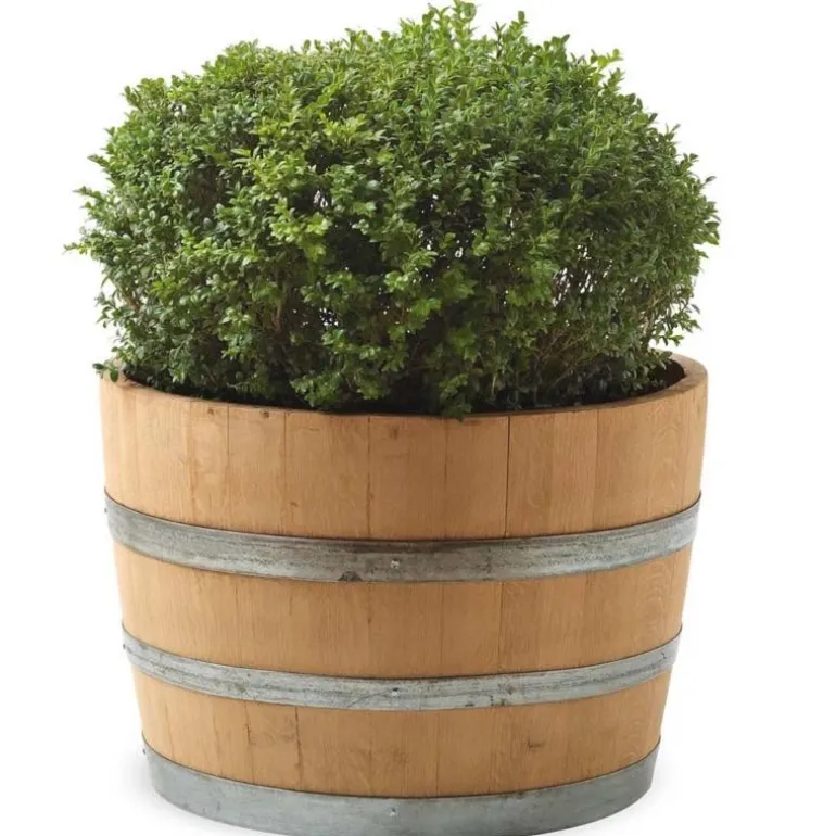 Wine Barrel Planter