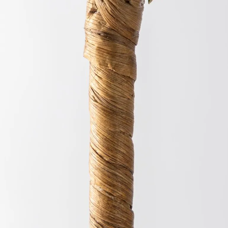 Woven Palm Plant